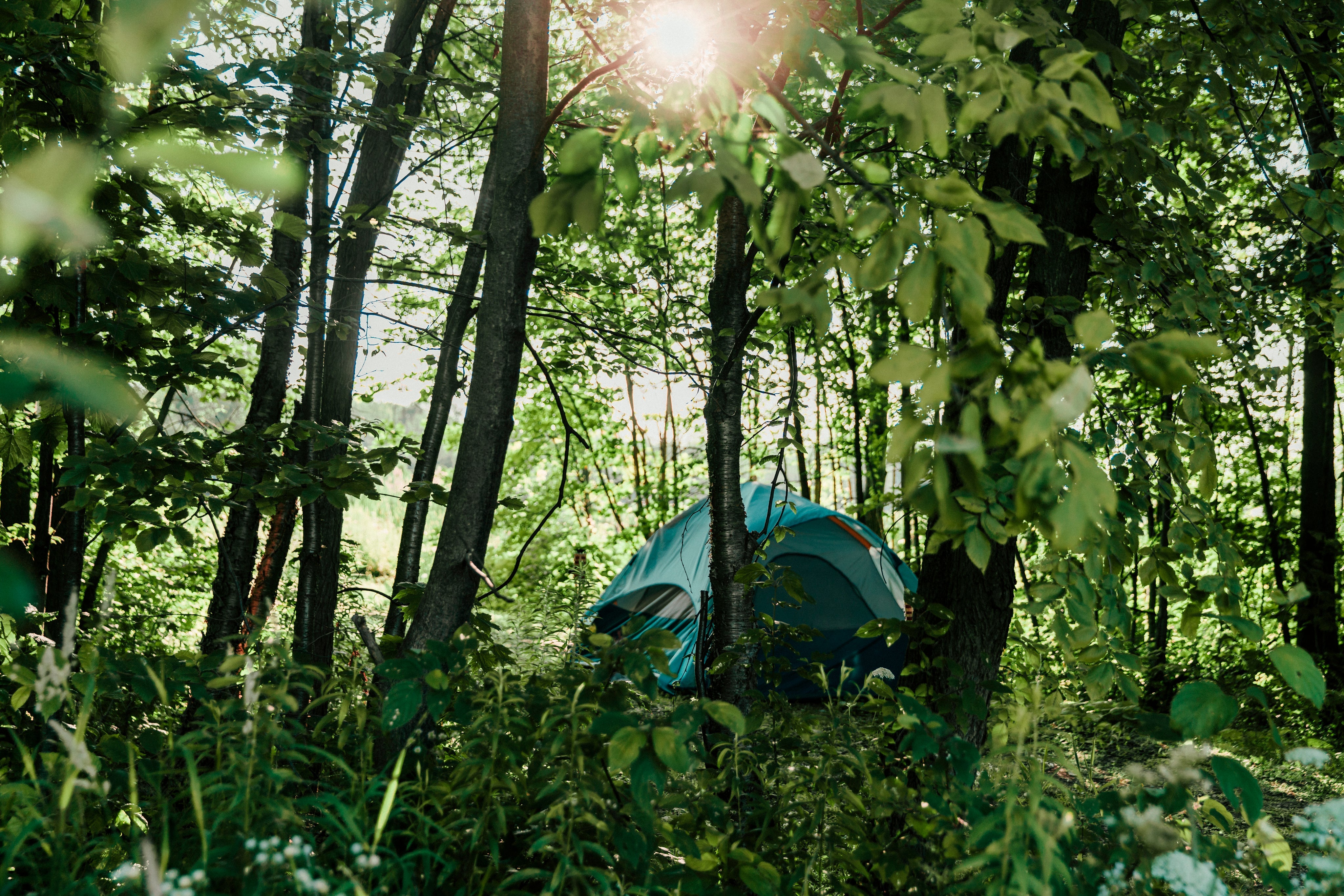 Abenteuer in der Natur - Camping in den Bergen